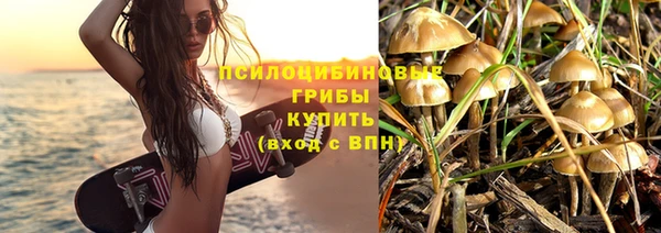 молекула духа Вязьма