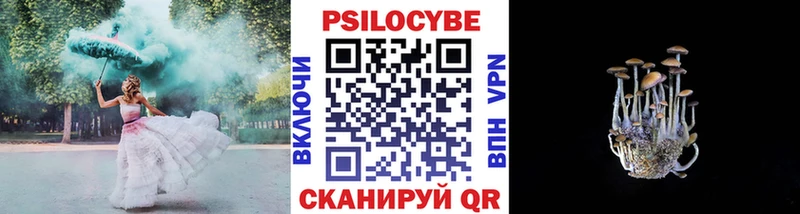 Галлюциногенные грибы Psilocybine cubensis  купить  цена  Нефтекамск 